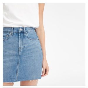 Everlane Denim Skirt